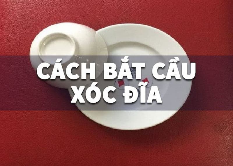 Cách nhận biết các loại cầu trong xóc đĩa online